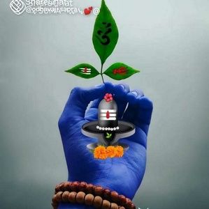 Meet your Posher, Deepa